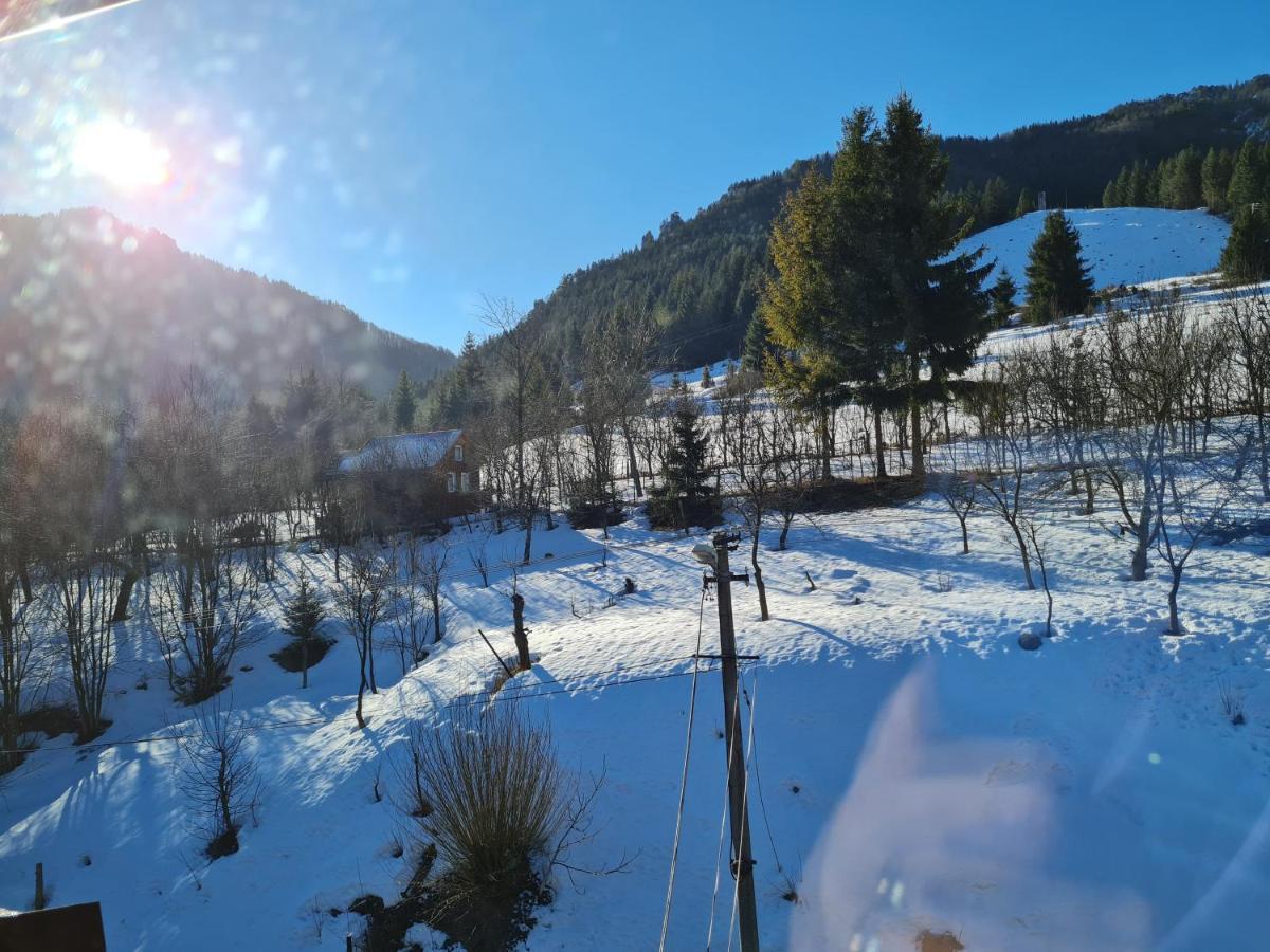 Penzión Malá Fatra u Ďurka Žilina Exterior foto